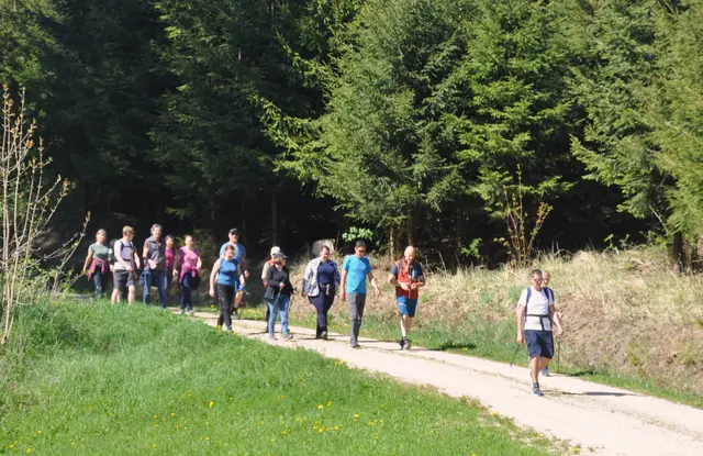 Bei strahlendem Frühlingswetter trafen sich am 26. April mehr als 100 motivierte Teilnehmer in Waldhausen zum gemeinsamen Start der OÖ Bewegungs-Challenge. Eine Veranstaltung der Gesunden Gemeinde Waldhausen.  | Foto: Gesunde Gemeinde Waldhausen