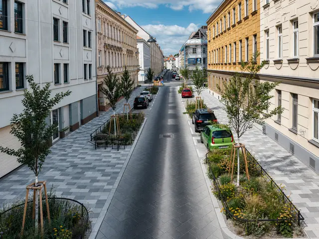 Die Anton-Störck-Gasse ist deutlich grüner als zuvor geworden. | Foto: Cordbase