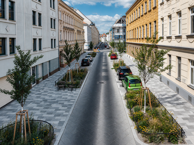 Die Anton-Störck-Gasse ist deutlich grüner als zuvor geworden. | Foto: Cordbase