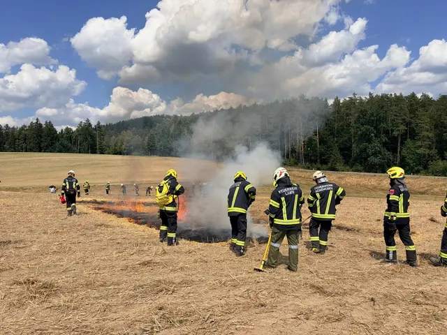 Foto: Georg Riernößl/AFKDO Pregarten