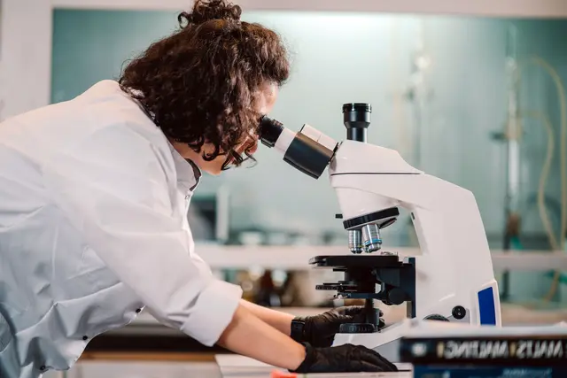 Luftverschmutzung, Pestizide und Schwermetalle: Ein internationales Projekt untersucht, auch in Niederösterreich, mögliche Zusammenhänge mit Parkinson. | Foto: Pexels (Symbolbild)