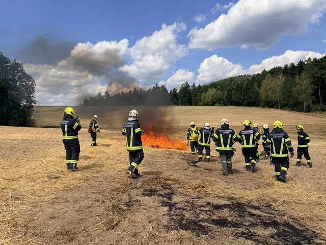 Foto: Georg Riernößl/AFKDO Pregarten