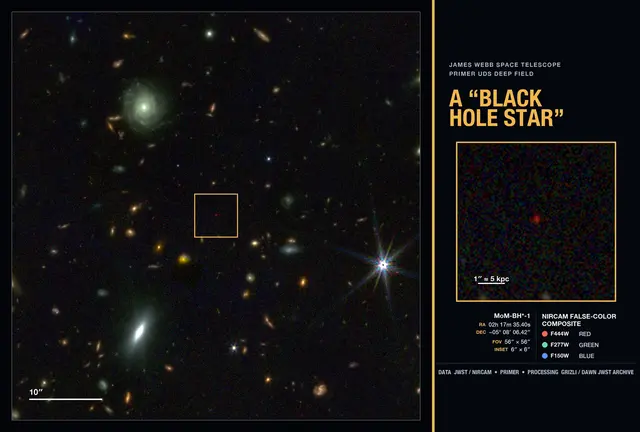 Aufnahmen des James Webb Space Telescope (JWST), auf denen der „Schwarzes-Loch-Stern“ als „kleiner roter Punkt“ (little red dot) hervorsticht. Solche Kleinen Roten Punkte sind äußerst häufig: Im Durchschnitt findet sich einer in jeder Aufnahme dieser Art. Jeder kleine rote Punkt könnte von einem Schwarzes-Loch-Stern angetrieben werden. Das gezeigte Bild ist ein RGB-Farbkomposit, bei dem für das Auge unsichtbare Infrarot-Wellenlängen in Rot (4,4 Mikrometer, NIRCam/F444W), Grün (2,7 Mikrometer, NIRCam/F277W) und Blau (1,5 Mikrometer, NIRCam/F150W) abgebildet sind. 

Visualisierung: Rohan Naidu (University of Hawai’i)  | Foto: Bilder: NASA, ESA, CSA, STScI, DAWN JWST Archive, PRIMER Survey 