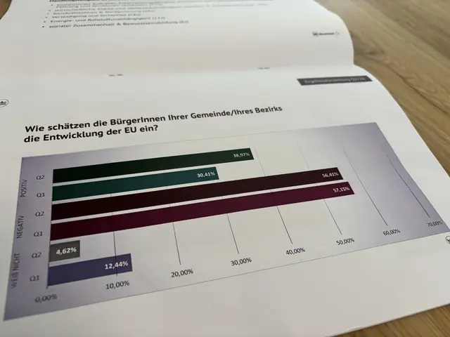 Die Entwicklung der EU wird von den Bürgerinnen und Bürgern in der Gemeinde der befragten Bürgermeistern nicht durch die rosarote Brille betrachtet. | Foto: Braintrust