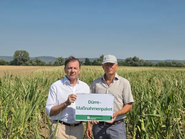 Die schlechte Getreideernte und drohende Ernteausfälle bei Herbstkulturen lassen bei Landwirtschaftskammerpräsident Nikolaus Berlakovich (links) und Kammerdirektor Martin Burjan die Forderung nach einem Dürre-Maßnahmenpaket laut werden. | Foto: Landwirtschaftskammer