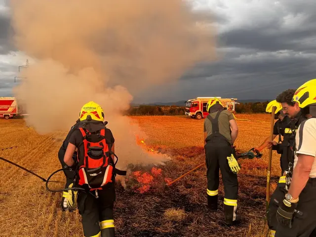 Praxisnah trainierten die Florianis der FF Losensteinleiten die Bekämpfung von Vegetationsbränden auf einem abgeernteten Getreidefeld. Als Ausbildner gab HBM Markus Ortner von der FF Wolfern sein Wissen aus dem Vegetationsbrandbekämpfungs-Lehrgang weiter.