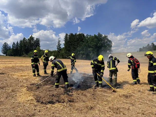 Foto: Georg Riernößl/AFKDO Pregarten