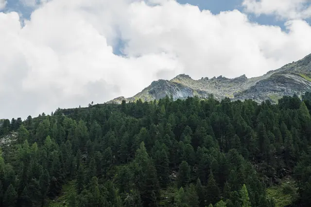 Foto: OVI Moritz Scharler