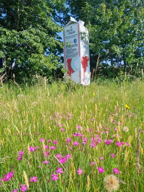 Foto: Grünzweil
