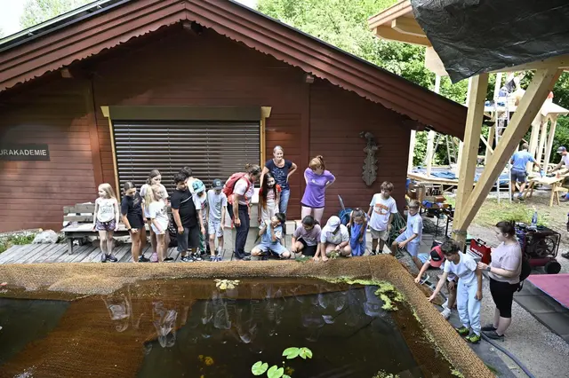 Natur entdecken und verstehen: Kinder der VS Kufstein Stadt erleben die Naturakademie. | Foto: Peter Holzknecht