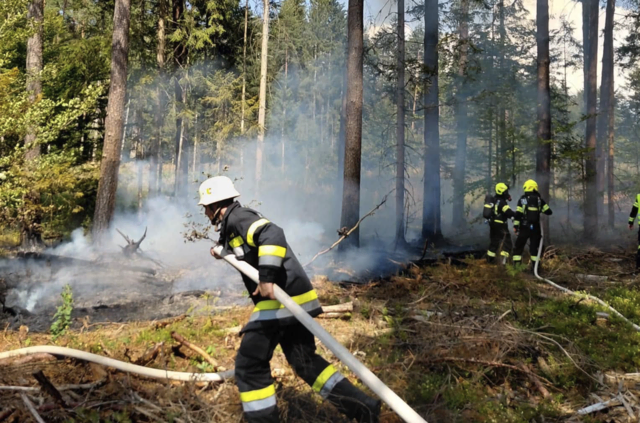 Ein Wald stand im Bezirk Völkermarkt in Flammen.  | Foto: Stadtfeuerwehr Bleiburg