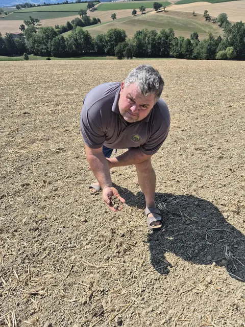 Landwirt Josef Handl aus Hörmannsberg fordert als Kammerrat des Unabhängiger Bauernverbands sofortige Maßnahmen gegen die Dürre im Bezirk Scheibbs. | Foto: Unabhängiger Bauernverband Bezirk Scheibbs