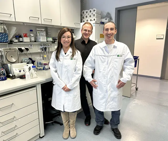 Mitglieder des Organoid-Teams. Von links nach rechts: Giselle Cheung, Simon Hippenmeyer und Florian Pauler.  | Foto: ISTA