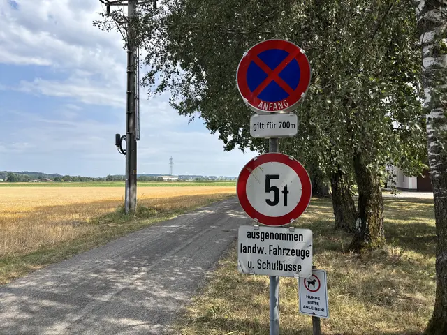 Halte- und Parkverbot entlang der Straße. | Foto: MeinBezirk/Steiner-Watzinger