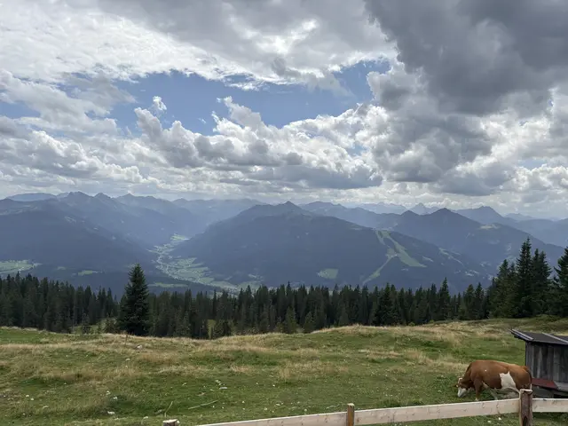 Aussicht auf rund 150 Alpengipfel, hier Richtung Süden