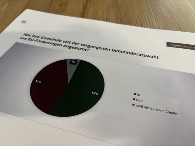 41 Prozent der Bürgermeister haben seit der letzten Gemeinderatswahl nicht um EU-Förderungen angesucht. Die Gründe: Bürokratie oder ein Fehlen von passenden Projekten. | Foto: Braintrust