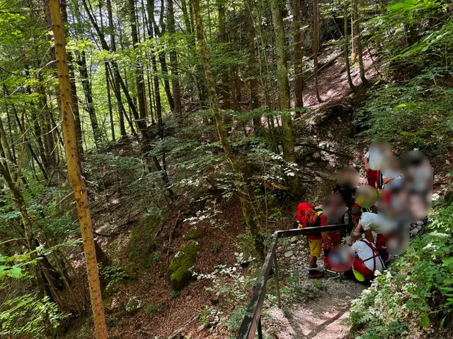 Innerhalb von gut vier Stunden rückte die Bergrettung Ferlach dreimal in die Tscheppaschlucht aus. | Foto: Bergrettung Ferlach