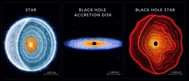 Sterne wie unsere Sonne (links) kann man sich als dichte Gaskugeln vorstellen, die durch Kernfusion angetrieben werden. Schwarze Löcher (Mitte) wachsen typischerweise, indem sie Materie über Akkretionsscheiben aufnehmen. Schwarzes-Loch-Sterne (rechts) stellen eine neue Art astrophysikalischer Objekte dar – Schwarze Löcher, die so von dichtem Gas umhüllt sind, dass sie effektiv sternähnlich strahlen. Schwarzes-Loch-Sterne sind mehr als 100.000-mal größer als die Sonne, haben aber eine ähnliche Ausdehnung wie Akkretionsscheiben Schwarzer Löcher.  | Foto: Illustration: Rohan Naidu (University of Hawai’i) 