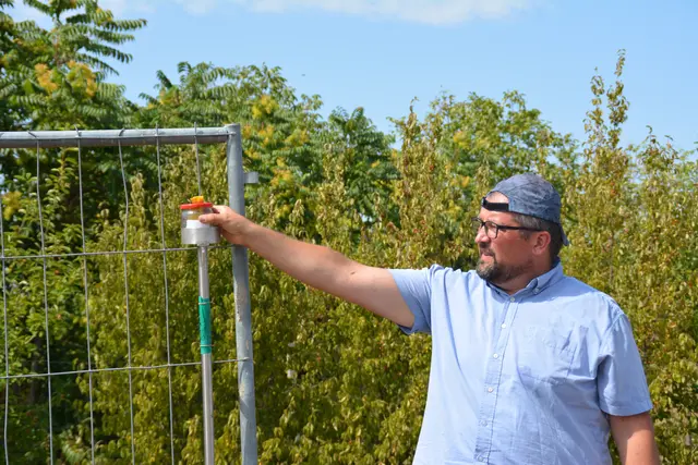 Bei einer Informationsveranstaltung in Schattendorf wurden burgenländische Imkerinnen und Imker über die Asiatische Hornisse und das Projekt ZUSIMLANA informiert. | Foto: Dorottya Fejes/MeinBezirk