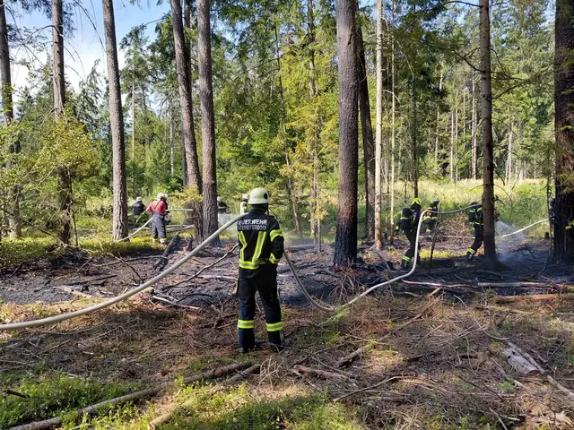 Insgesamt neun Feuerwehren rückten zum Einsatz aus. | Foto: Stadtfeuerwehr Bleiburg