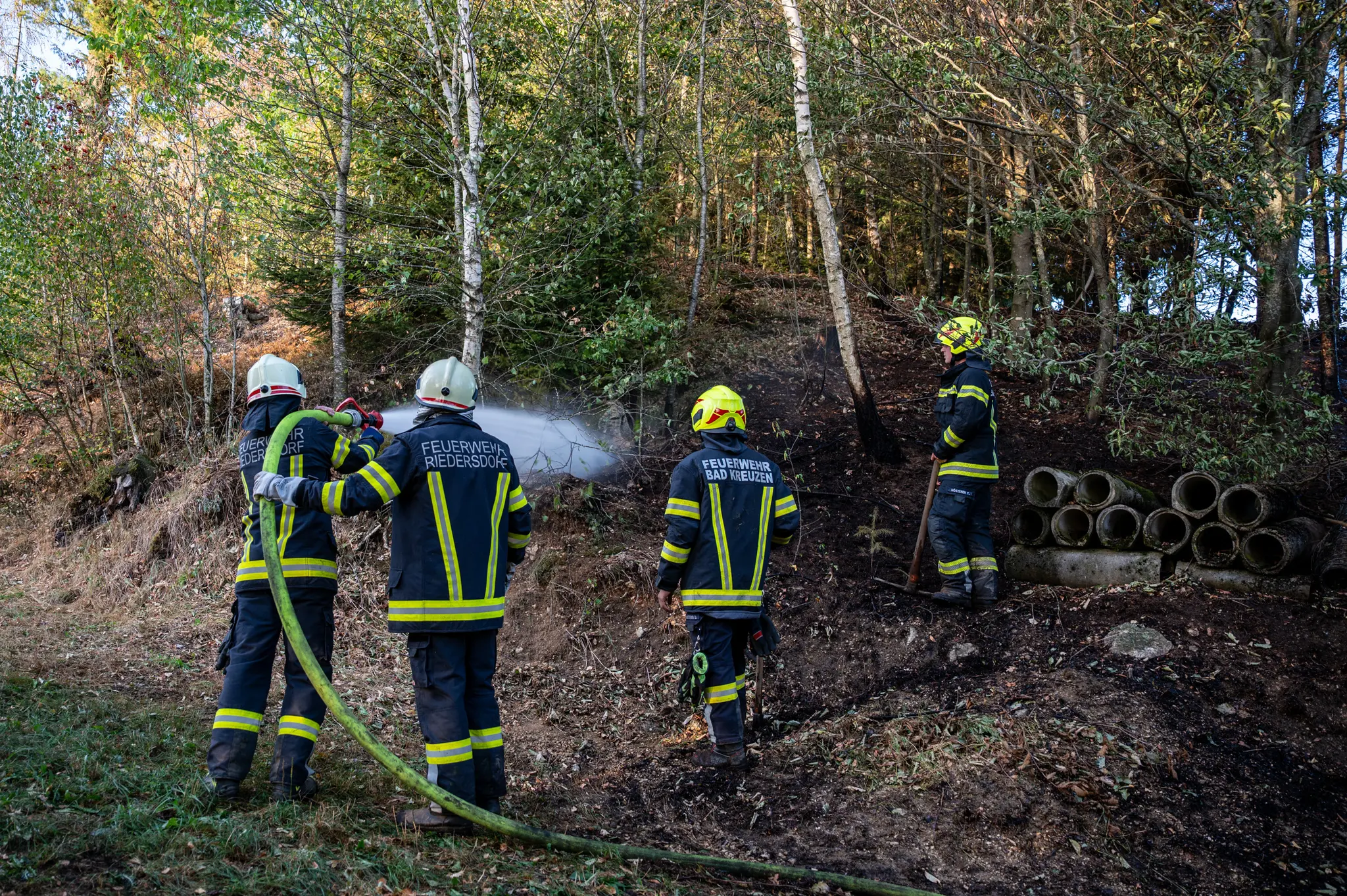 Forest fire: Firefighters prevented spread - | Farmers brought water - | ...