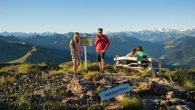 Gipfelmomente am Kitzbüheler Horn: Hoch hinaus und mitten hinein in die Bergwelt: Kostenlose Berg- und Talfahrt und ein Besuch im Alpenblumengarten machen den Tag perfekt. | Foto: press.kitzski.at 