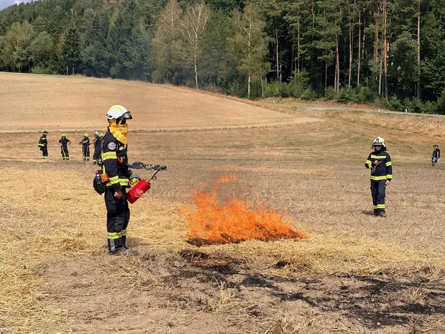 Foto: Georg Riernößl/AFKDO Pregarten