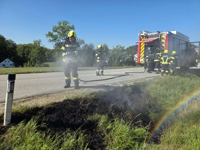 Der Flurbrand war rasch gelöscht. | Foto: Feuerwehr Lambrechten