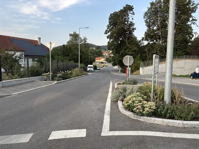 Hier sollte, laut Leitgeb, ein Schutzweg über die Straße führen und eine Schwelle die Raser abbremsen. | Foto: Lauren Fahrenberger / MeinBezirk