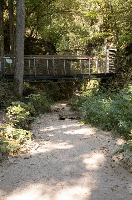 Die Johannesbachklamm ist völlig ausgetrocknet. | Foto: Santrucek