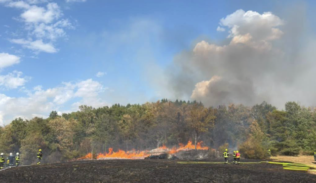 Ein Waldbrand bei Altenhof hat am Montagnachmittag, 10. August 2026, einen Großeinsatz der Feuerwehren ausgelöst. | Foto: FF Gars am Kamp