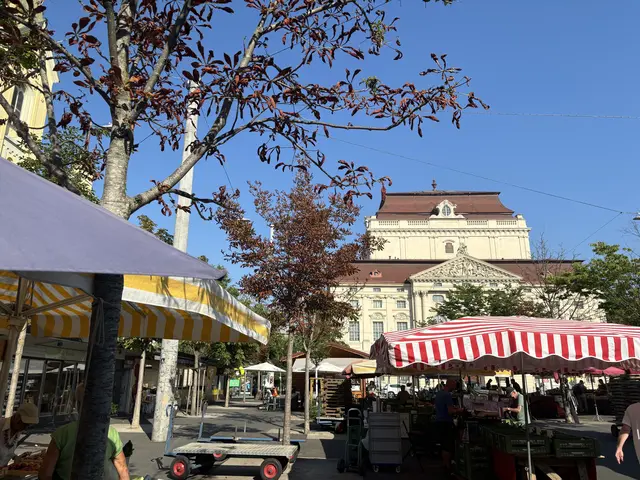 Am Kaiser-Josef-Platz herrscht von morgens bis abends reger Betrieb. In Kombination mit dem Klimawandel wird es dadurch für die Bäume eng.  | Foto: MeinBezirk/Markus Kropac