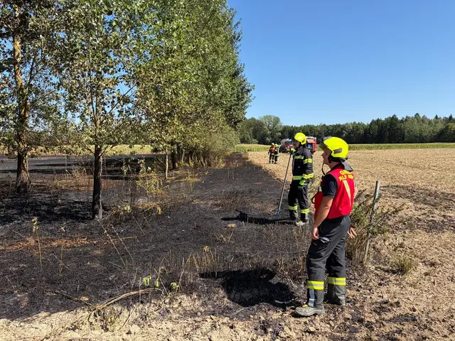 Die Feuerwehren bei dem Einsatz am Mittwoch-Nachmittag. | Foto: BFKdo Perg
