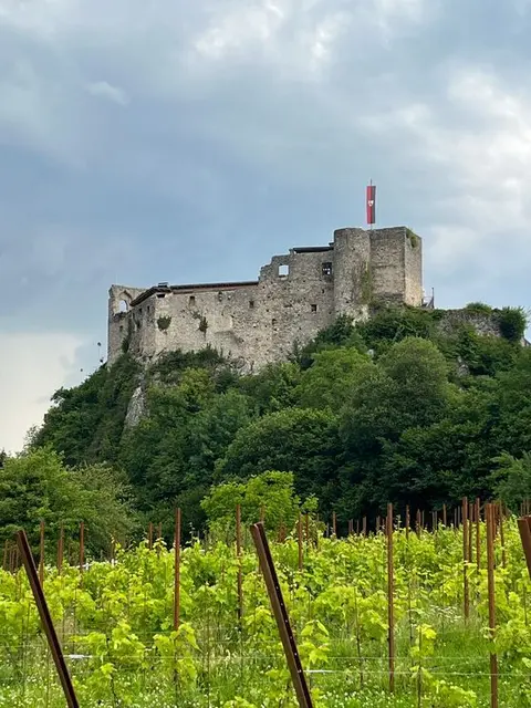Burgruine Finkenstein mit Blick auf den Faaker See