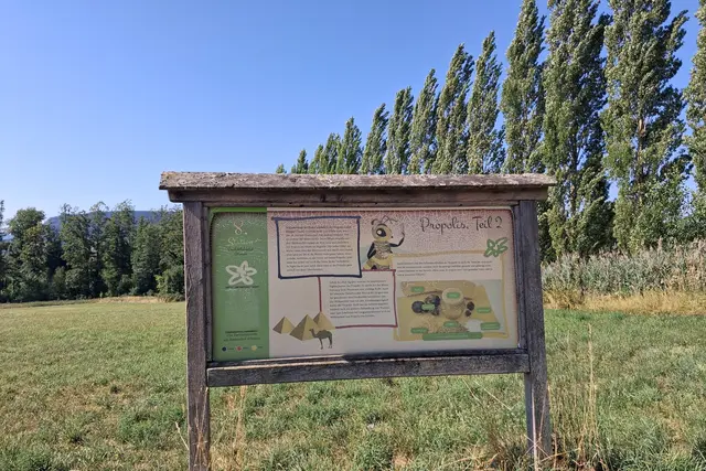 INFOTAFELN
Beantworten alle Fragen um das THEMA Bienen.
