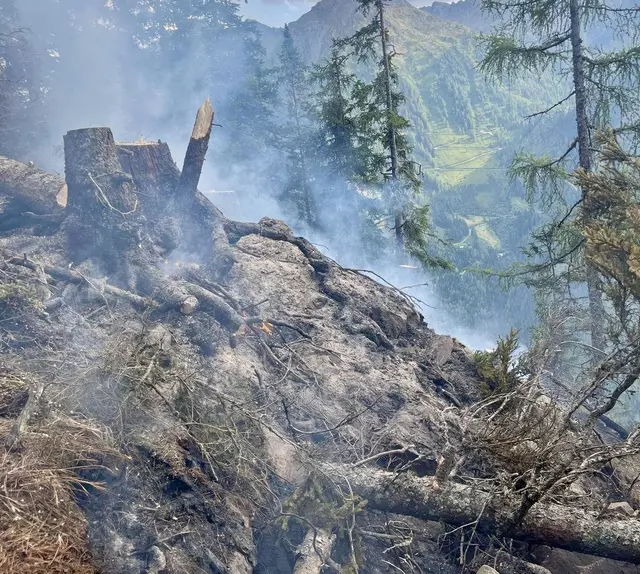 Der Waldbrand ereignete sich im schwer zugänglichen Gelände. | Foto: Freiwillige Feuerwehr Untertal-Rohrmoos