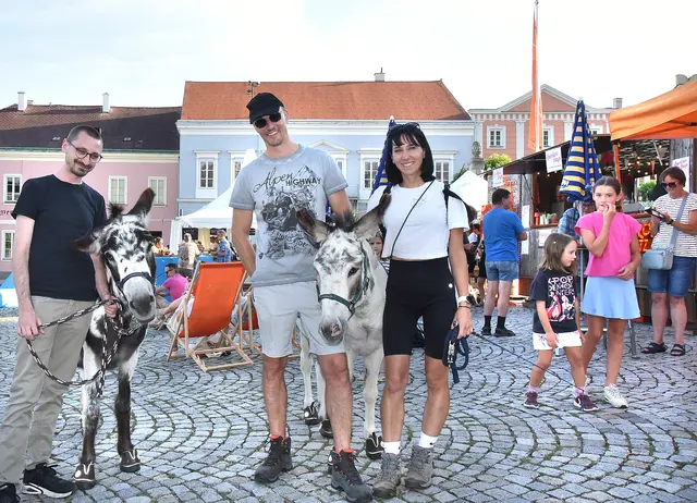 Eselwanderung am Hauptplatz mit Nora Wöhrer | Foto: Herbert Schleich