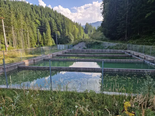 Trotz Trockenheit geht das Wasser in Ardning nicht aus. | Foto: Gemeinde Ardning