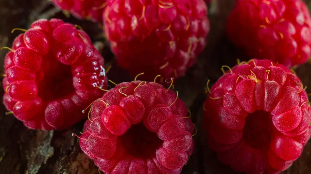 Himbeeren bringen natürliche Süße und fruchtige Abwechslung in eine bewusste Ernährung.