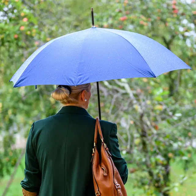 Nächste Woche kündigt sich ein Wetterumschwung mit Regen an – wie viel Nass vom Himmel kommt, ist allerdings noch offen.  | Foto: fotokerschi.at/Kerschbaummayr