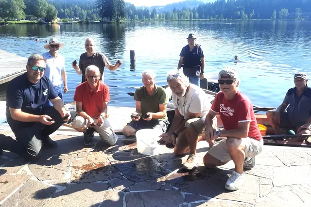 Die Fischer sorgten für einen Besatz mit Teichmuscheln. | Foto: Fischereiverband