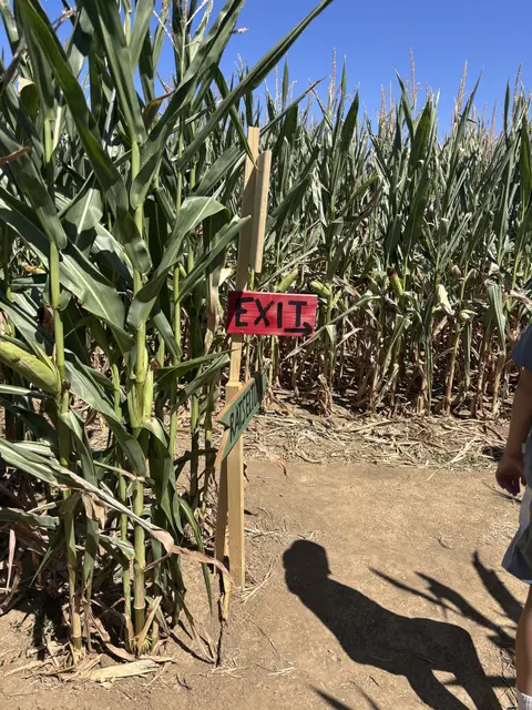 Man glaubt ja nicht, wie man sich über das "Exit"-Schild freut, wenn man sich doch öfter verirrt hat.