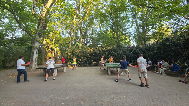 1. Wiener Tischtennis Challenge läuft... | Foto: Tischtennis Hobby Wien