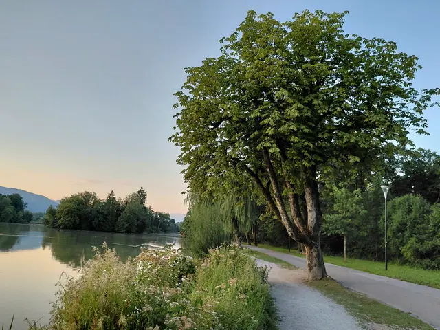 Die ruhe genießen  | Foto: H.Bachinger