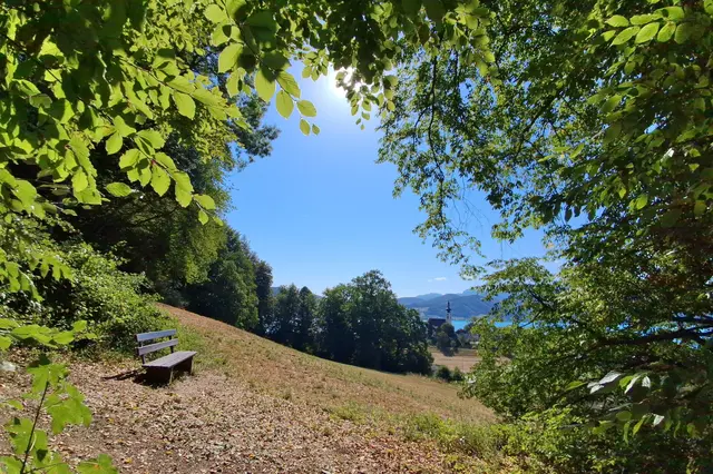 ....gemütlich da sitzen und den Ausblick zum Attersee und zur Kirche in Attersee genießen.