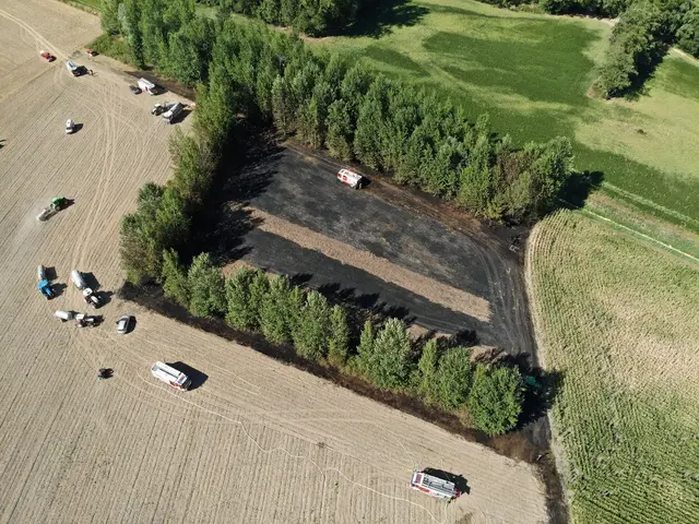 Drohnenfoto: Blick auf die Brandstelle | Foto: FF Haid
