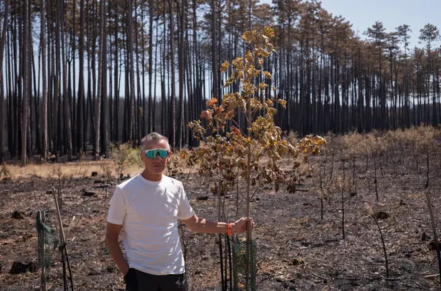 Joe Grabner in in einem Teil seines Waldstücks, wo 1.000 Bäumchen dahingerafft wurden. | Foto: Santrucek