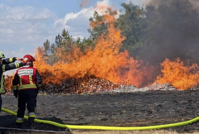 Ein Waldbrand bei Altenhof hat am Montagnachmittag, 10. August 2026, einen Großeinsatz der Feuerwehren ausgelöst. | Foto: FF Gars am Kamp