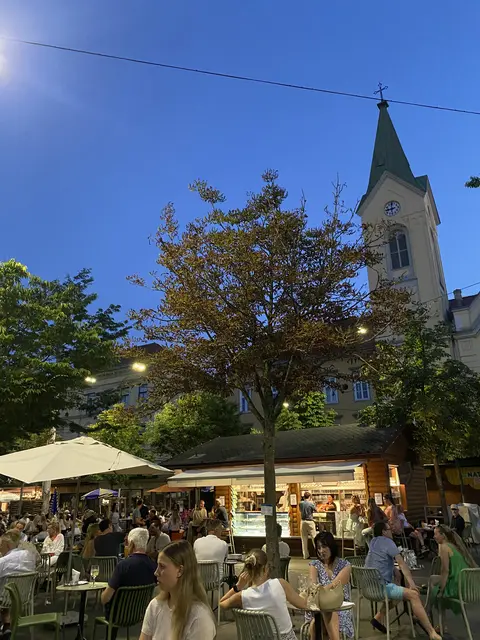 Abends ist der Platz gegenüber der Oper ebenfalls prall gefüllt. Dieser Baum leidet trotz Patenschaft.  | Foto: MeinBezirk/Markus Kropac