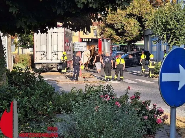 Foto: FF Herzogenburg/Wallner